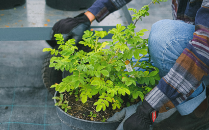 MacBook Repair Dubai